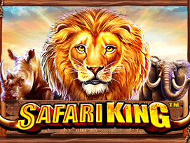 Safari King icon